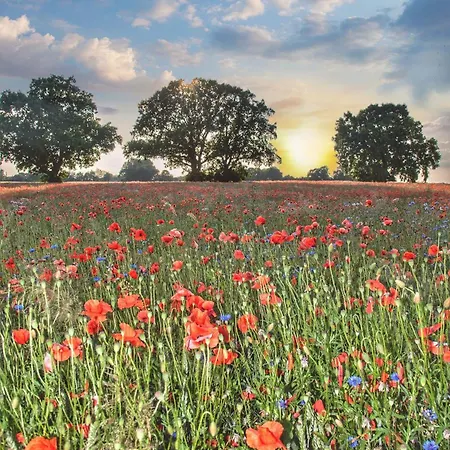 Haff-ostseeferienhausapartment Erdgeschoss